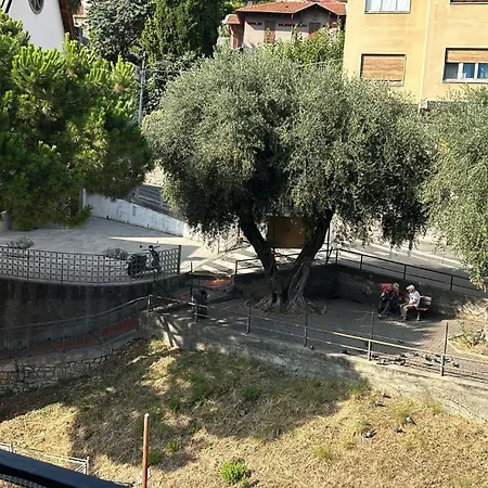 Mg Sanremo